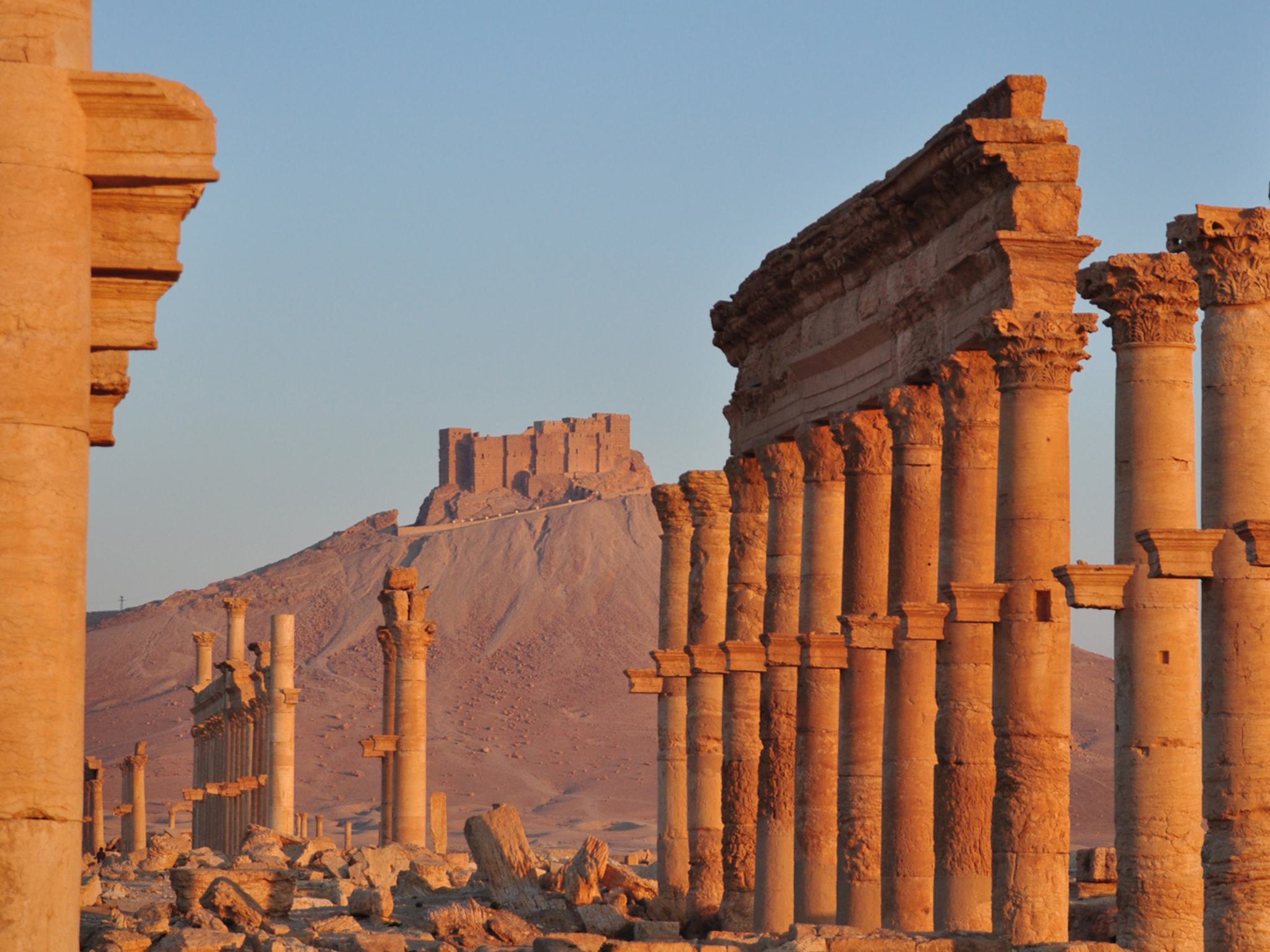 palmyra
