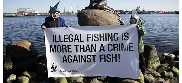 Illegal-fishing