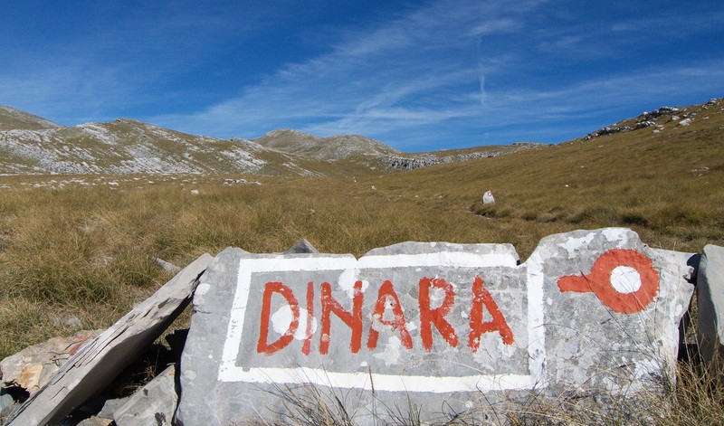 dinara