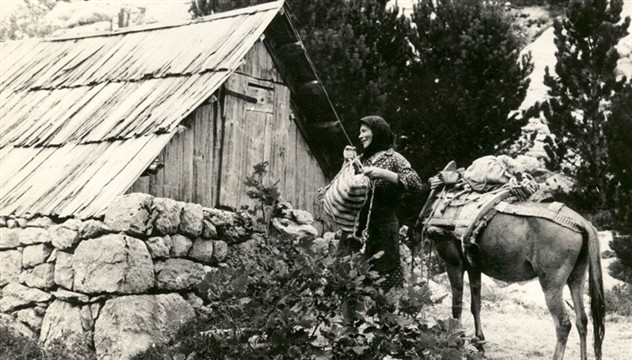 Pastirski stanovi_Velebit