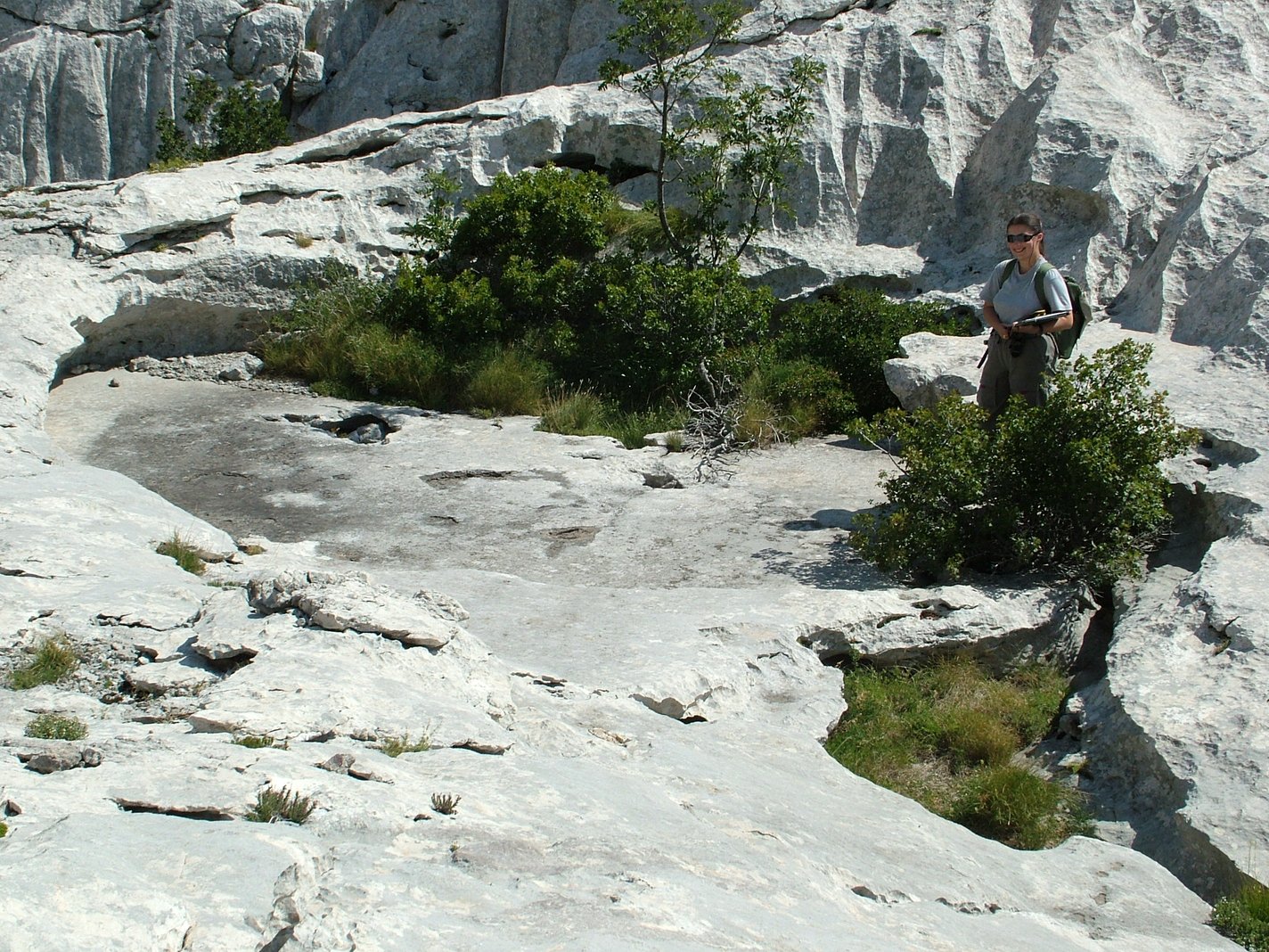 rsz_slika-4-dscf6729