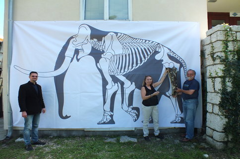 rsz_marjanac-mamut-rab