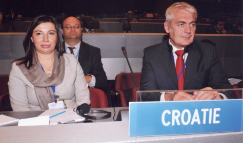 Kuterovac-Topic-WIPO-2010