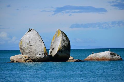APPLE ROCK “TOKANGAWHA”