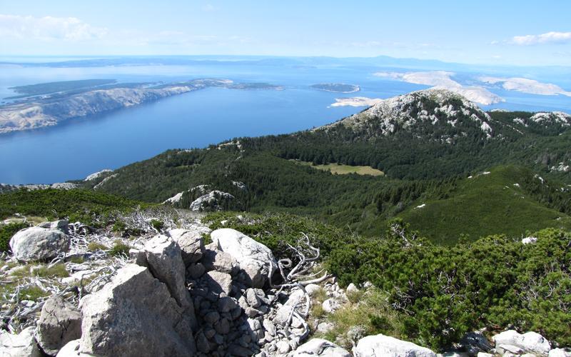 NP S.Velebit