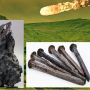 ČAVLI OD HRAŠĆINSKOG METEORITA